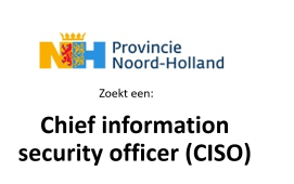 Chief information security officer (CISO)